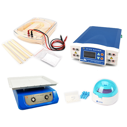 北京六一泳強快速臨床蛋白電泳檢測系統(tǒng)