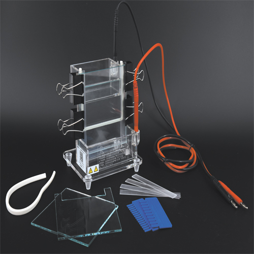 北京六一DYCZ-23A小型單垂直電泳儀電泳槽蛋白凝膠電泳儀