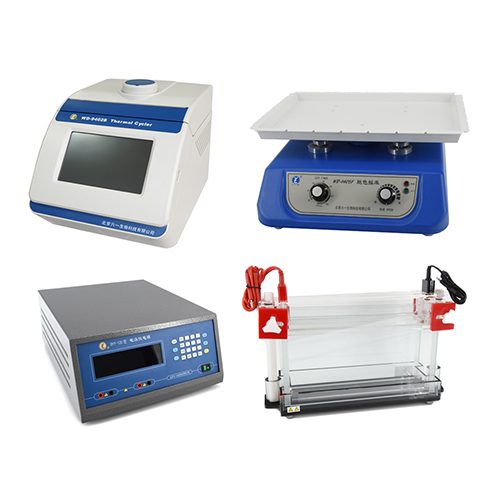 種子DNA檢測系統(tǒng)