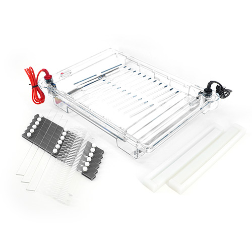 北京六一DYCP-32C型 瓊脂糖水平電泳儀 核酸電泳儀 電泳槽(大號)