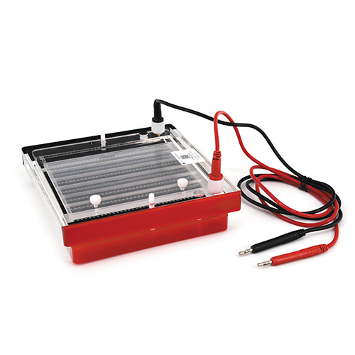 北京六一DYCP-44P快速凝膠電泳儀電泳槽DYCP-44P