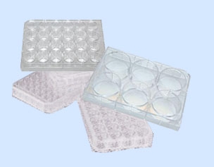 北京六一細(xì)胞培養(yǎng)板WD-2107