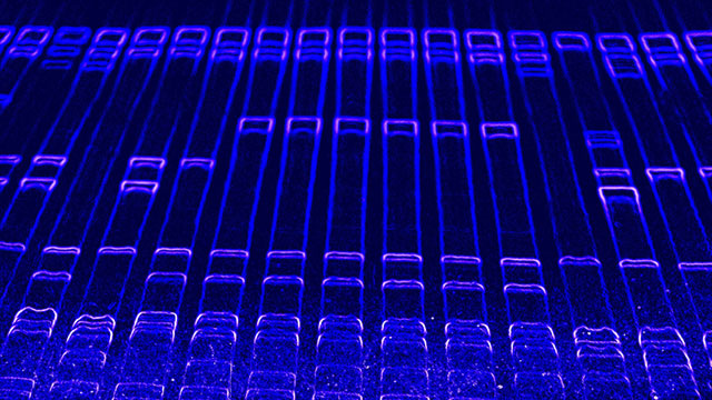 2016產(chǎn)品資源指南：電泳